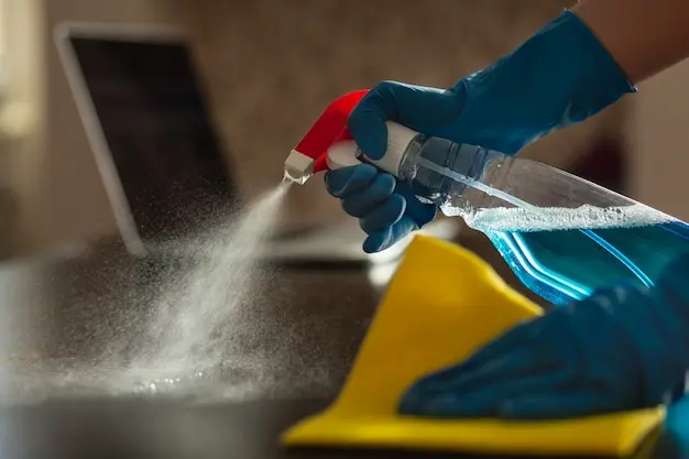 Deep Cleaning